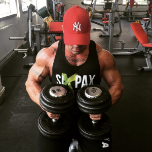sixpax bulking macros