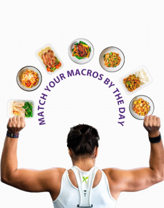 MATCH MACROS